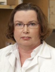 Eileen White, PhD